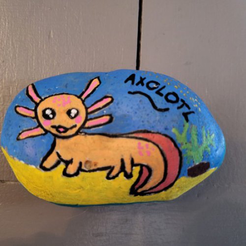 Yael Myrtille Pablo Axolotl