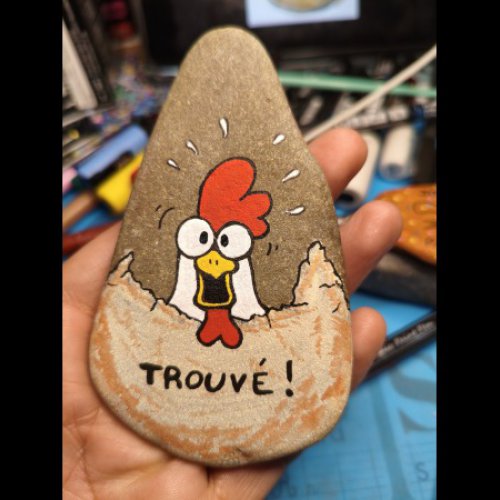 Lepetitsallelois sur insta Coq trouv�e!