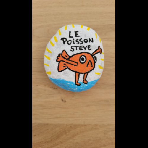 Creator 5576 Le poisson Steve