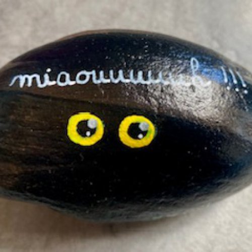 Melb38 Chat noir dans le soir