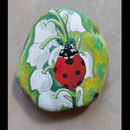 hbilr ladybug
