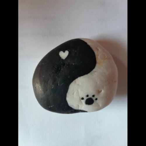 Famille K-Do Yin&Yang