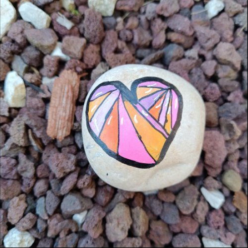 Cl�o69 heart