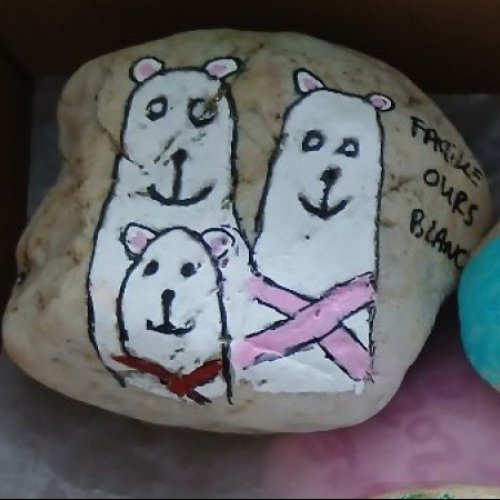 Creator 5976 Famille ours