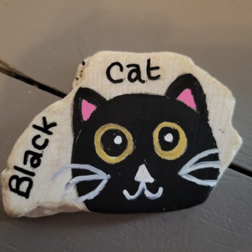 Lesgaletsde YMP Black Cat