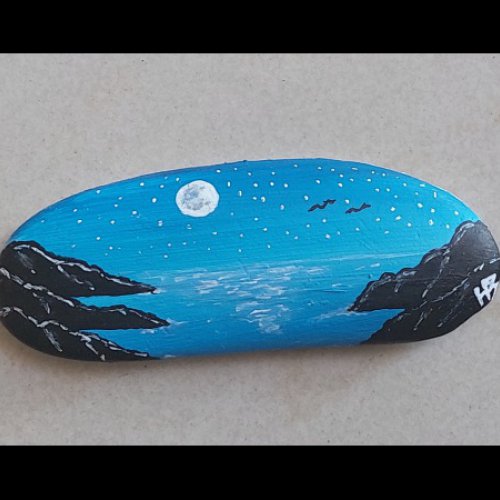 hbilr Clair de lune sur la c�te