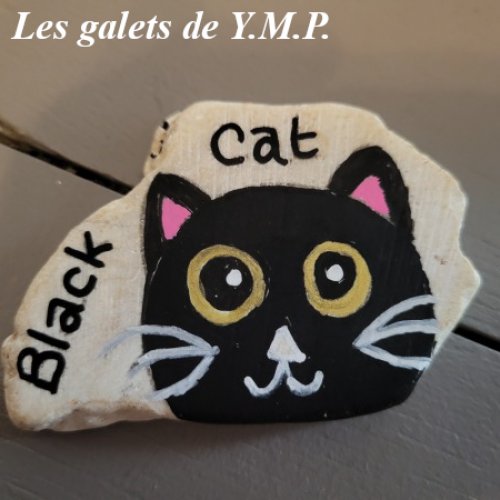 Lesgaletsde YMP Black Cat