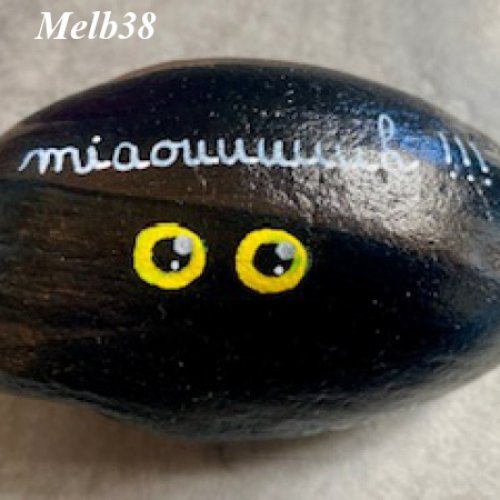 Melb38 Chat noir dans le soir