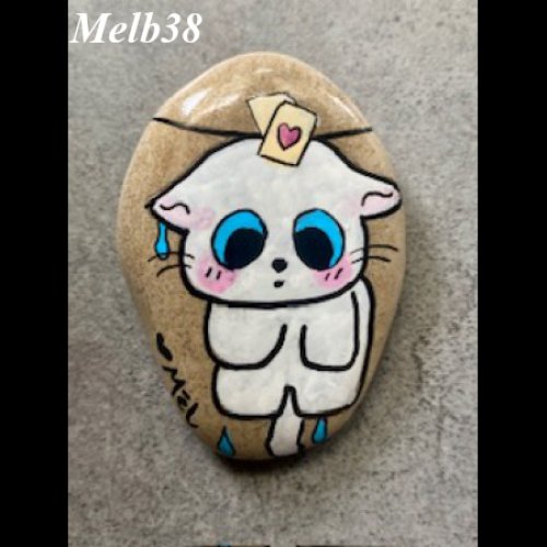 Melb38 Chaton blanc