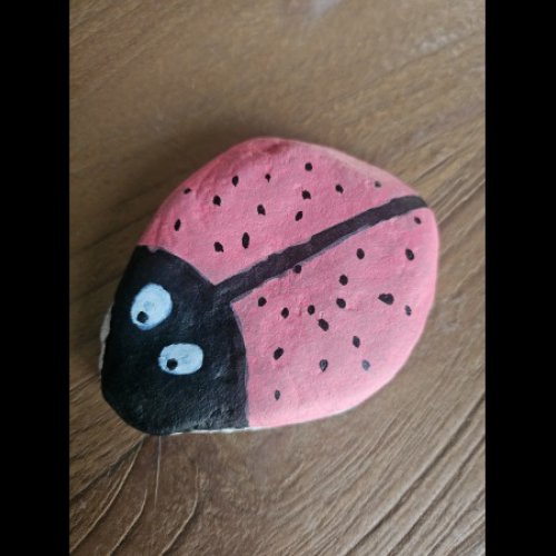 Creator 6439 Coccinelle