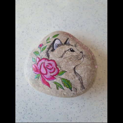 Lou Pichot Chat � la rose