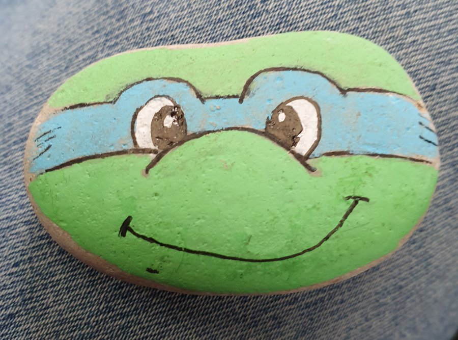 Galet pour enfant Tortue ninja : 1632232840.tortue.ninja.jpg