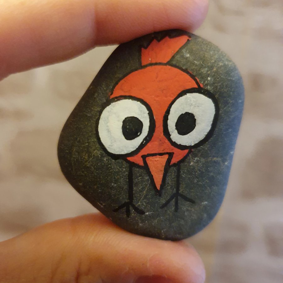 Rocks for kids Bird : 1632233789.oiseau.jpg
