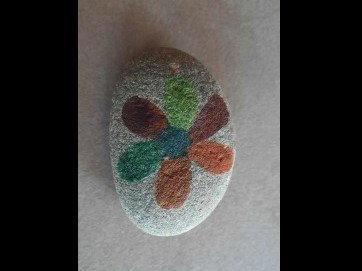 Rocks for kids Serendipity : a flower on rock : 1638454359.serendipity.jpg