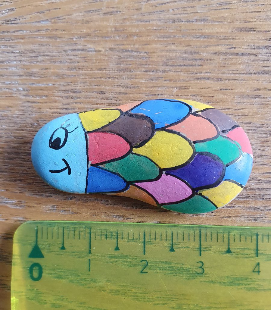 Rocks for kids Colorful fish : 1652285742.20220319.100759.jpg