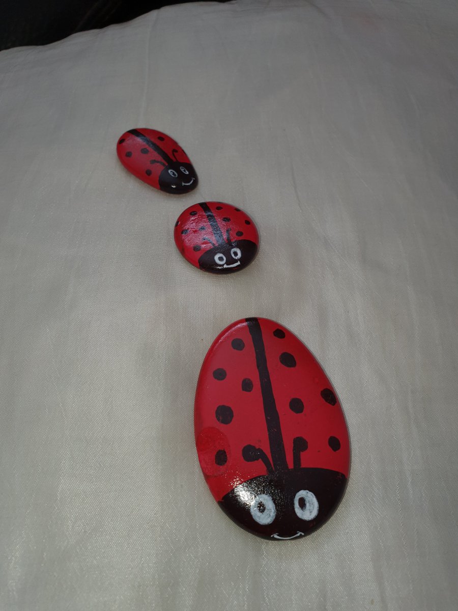 Easy rocks Ladybugs : 1659737560.coccinelles.jpg
