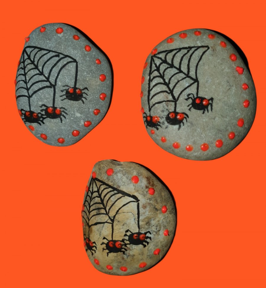 Halloween Spiderweb : 1661161052.toile.d.araignee.jpg