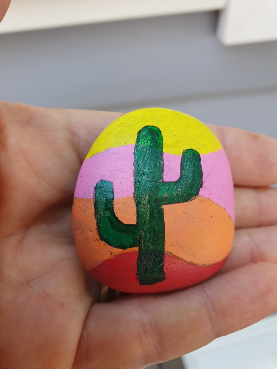 Easy rocks Colorful cacti : 1662300223.cactus.colore.jpg