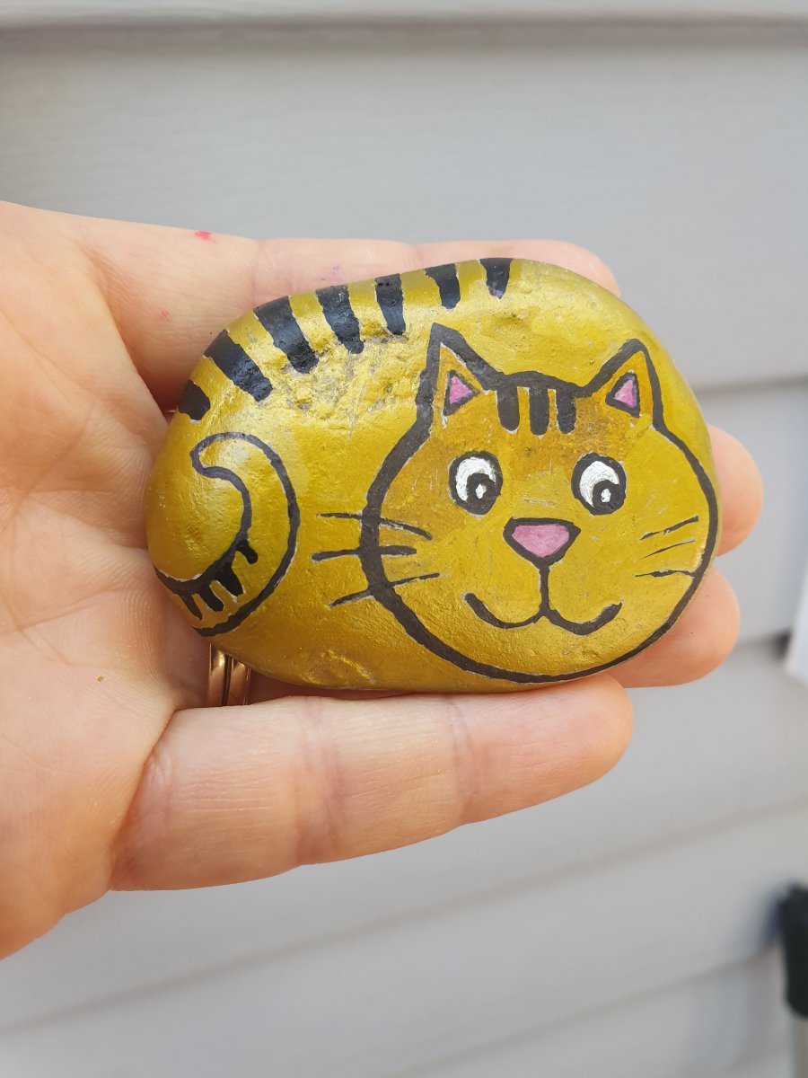 Easy rocks Cat on rock : 1662300280.chat.sur.galet.jpg