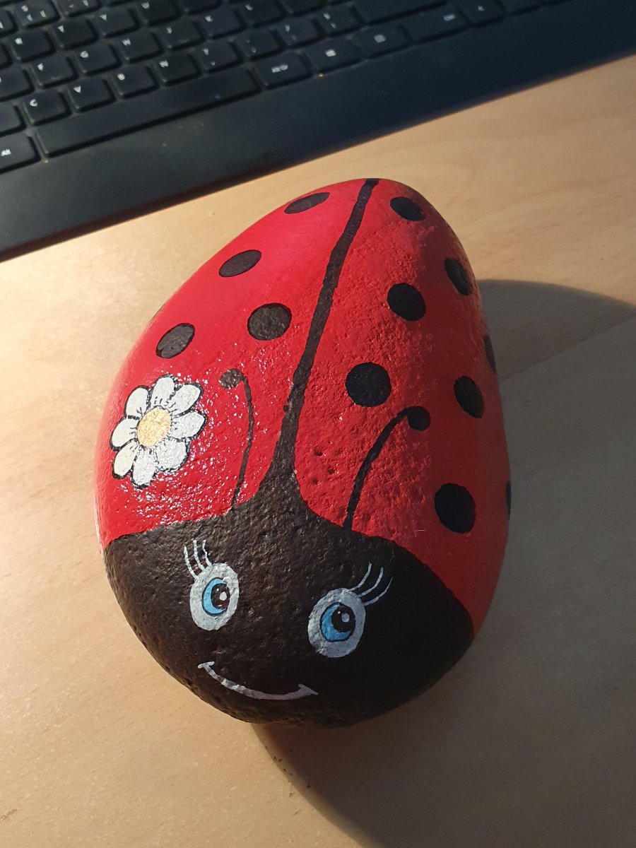 Easy rocks Ladybug in flower : 1662300346.coccinelle.a.fleur.jpg