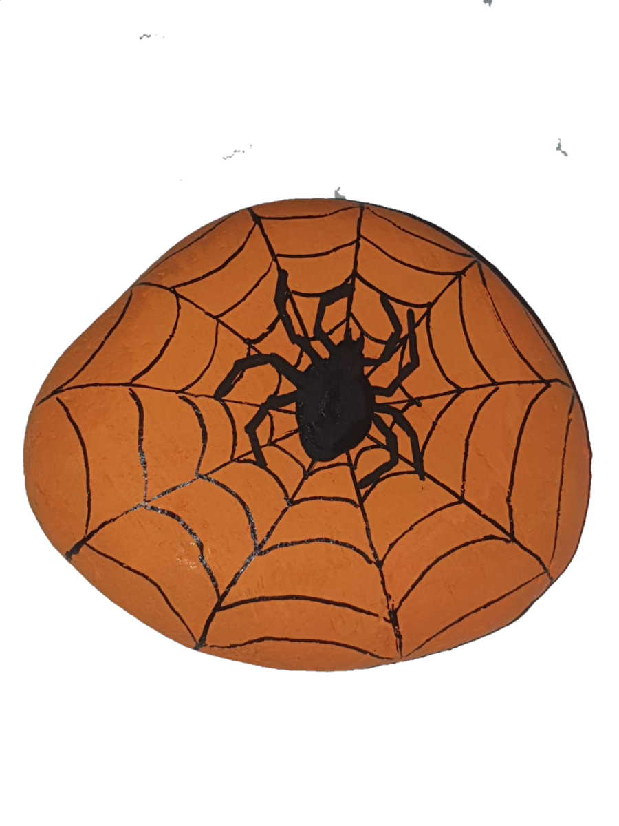 Halloween Spider on its web : 1663880028.araignee.sur.sa.toile.png