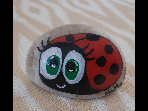 Animal : Ladybug / Ladybird NaMo Ladybug : 1677847077.namo.coccinelle.jpg