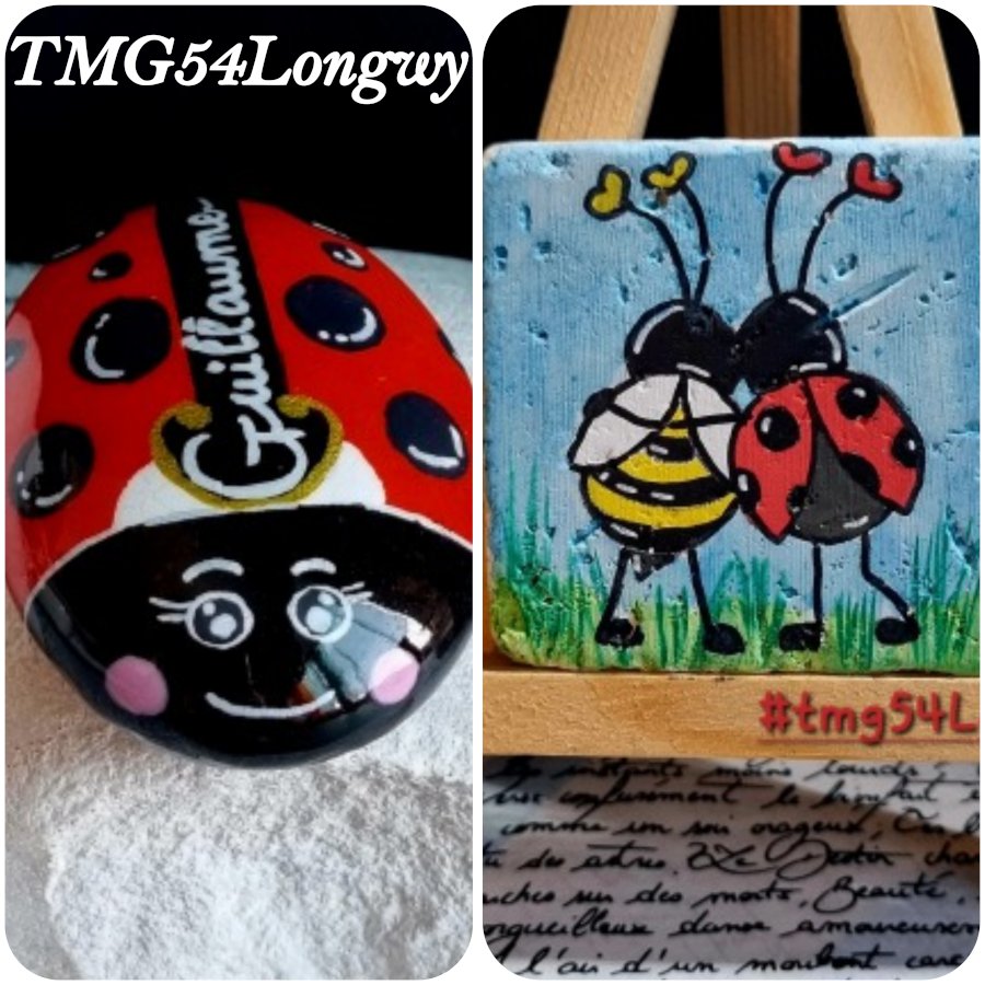 Animal : Ladybug / Ladybird TMG54Longwy Ladybug drawings : 1689025072.tmg54longwy.coccinelle.jpg