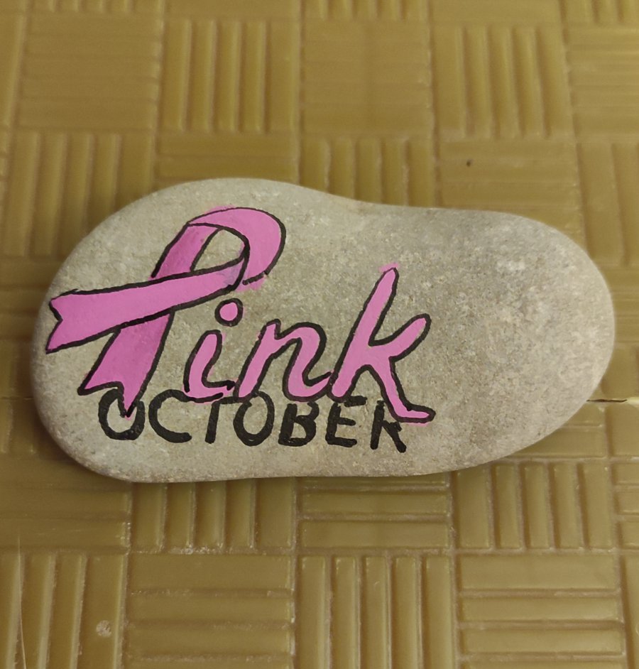 Octobre Rose Pink October : 1696190384.img.20231001.215757.jpg