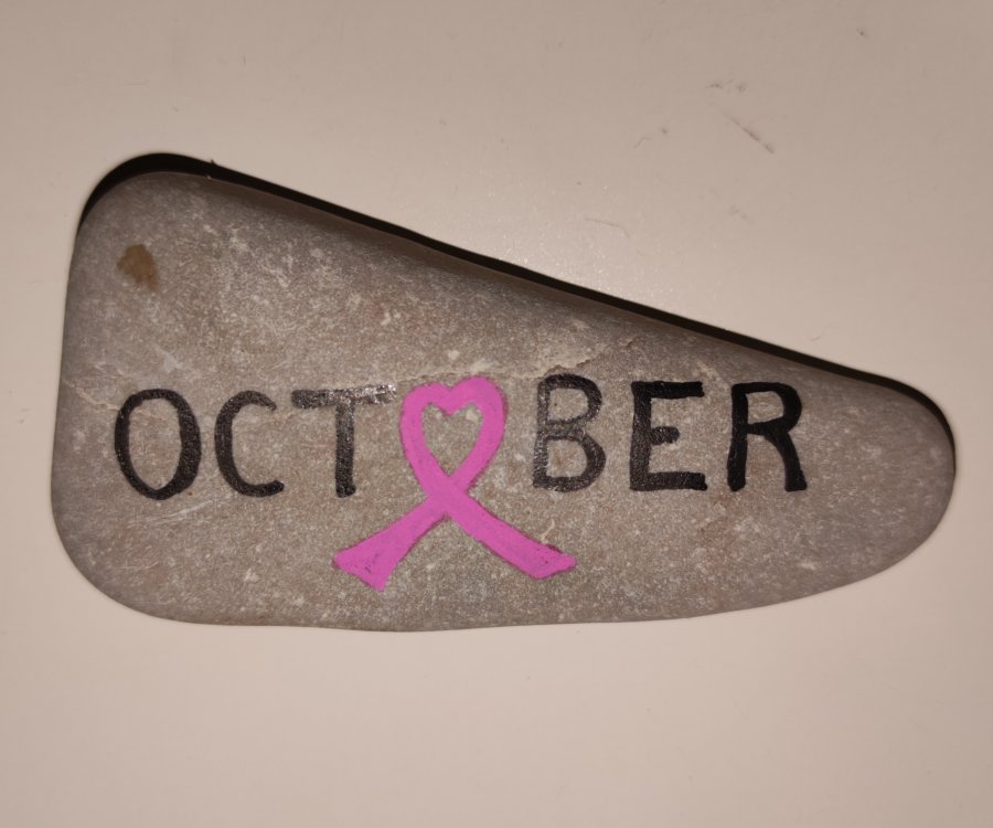 Pink October October : 1696275262.img.20231002.213256.jpg