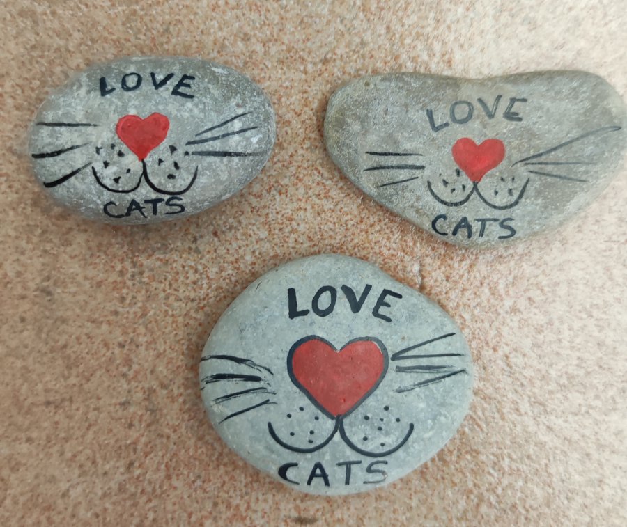 Animal : cat Love cats on rock : 1698877023.img.20231101.231608.jpg