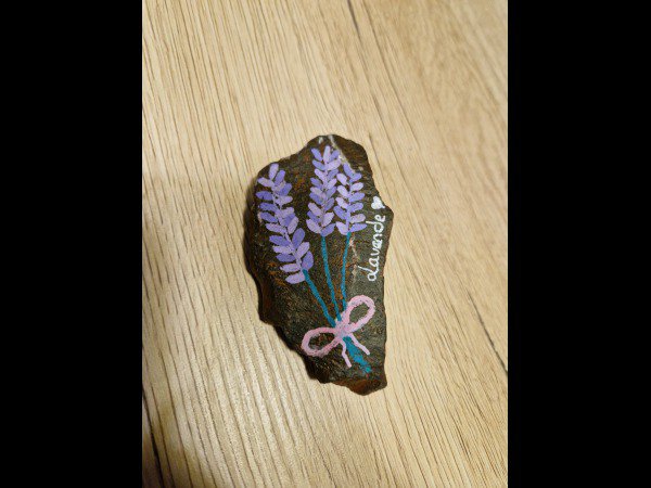 Selection of the month RinoaE Lavender : 1699207718.rinoae.lavande.jpg