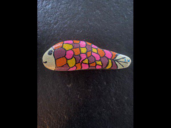 Selection of the month Melb38 Colored fish : 1699207956.melb38.hashpoisson.colore.de.sanelle.sw.jpg