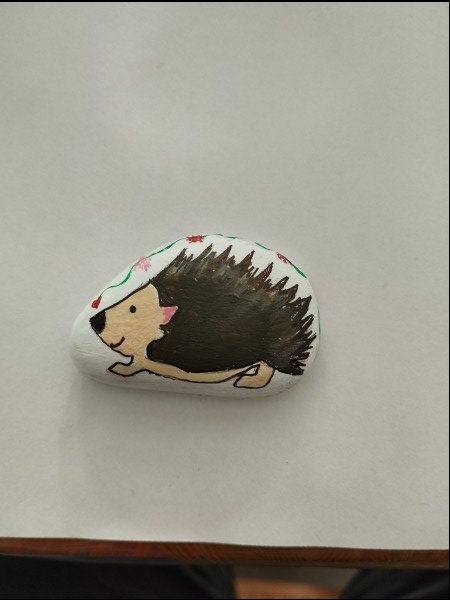 Selection of the month Caro Cute hedgehog : 1704230654.caro.herisson.mignon.jpg