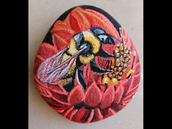 Quite difficult hbilr Bee in red flower - Rock Painting : 1706305560.hbilr.abeille.dans.fleur.rouge.jpg
