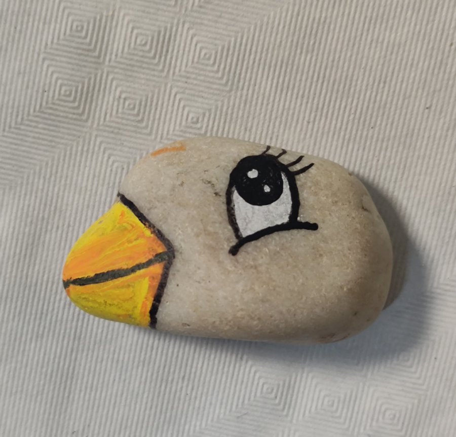 Animal : Bird Little bord on rock : 1708549144.img.20240221.215751.jpg