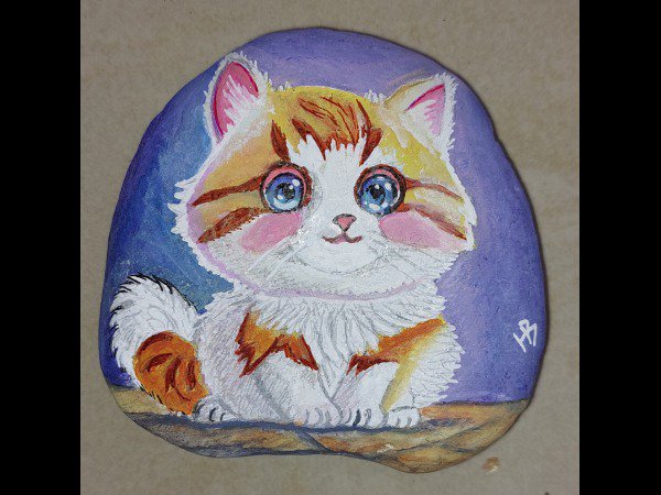 Selection of the month hbilr White ginger kitten : 1708877086.hbilr.chaton.blanc.roux.jpg