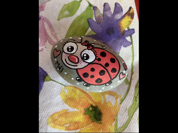 Selection of the month Melb38 ladybug : 1709533127.melb38.coccinelle.radieuse.jpeg