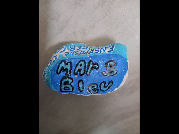Selection of the month Creator 2767 Mars Bleu : 1710089590.creator.2767.mars.bleu.jpg