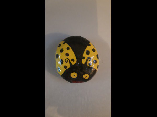 Animal : Ladybug / Ladybird Creator 2943 ladybug : 1715232944.creator.2943.coco.jpg