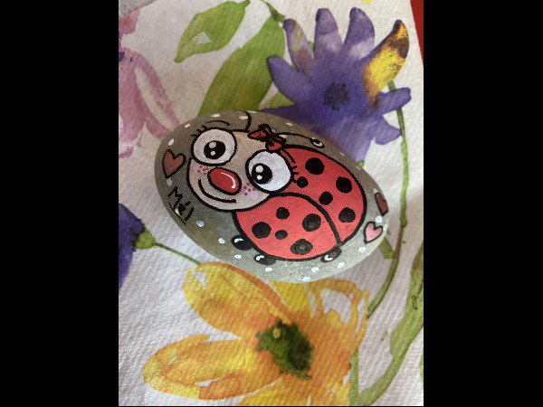 Animal : Ladybug / Ladybird Melb38 Radiant ladybird : 1717029180.melb38.coccinelle.radieuse.jpeg