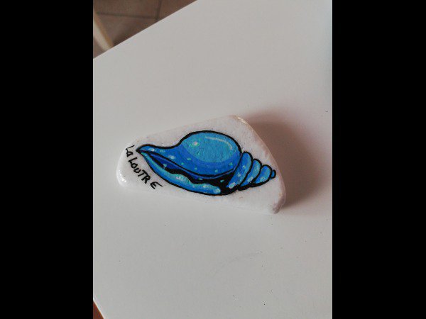 Animal : Fish Creator 772 shell drawing : 1718054811.createur.galet.1772.coquillage.02.jpg