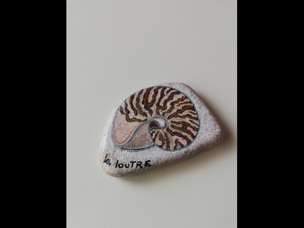 Animal : Fish Creator 1772 shell drawing on rock : 1718054907.createur.galet.1772.coquillage.04.jpg