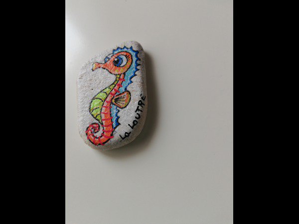 Animal : Fish Creator 1772 Seahorse drawing on rock : 1718054936.createur.galet.1772.hippocampe.02.jpg