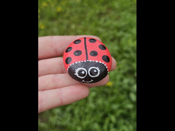 Selection of the month Deb74 Ladybug : 1719351046.deb74.coccinelle.09.jpg