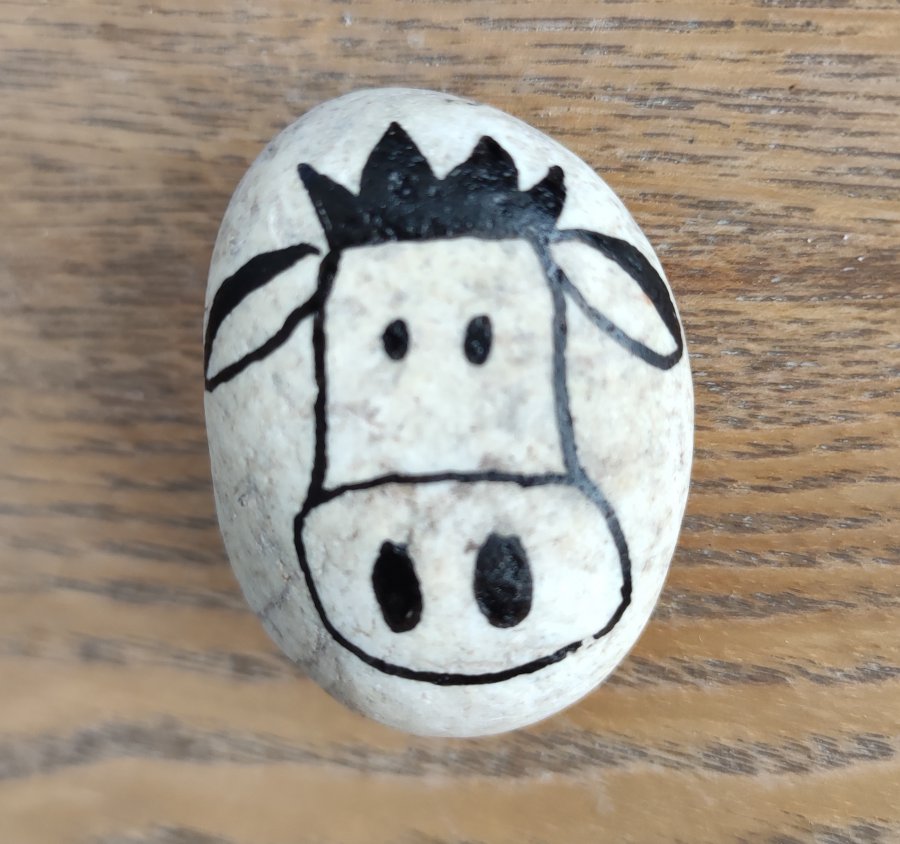 Rocks for kids Easy cow drawing : 1719832456.img.20240627.224559.jpg