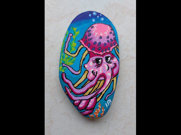 Selection of the month hbilr Painted rock : 1721731397.hbilr.meduse.hallucinante.jpg