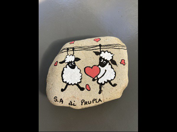 Selection of the month Sandrine di Prupia Sheep : 1729591819.sandrine.di.prupia.moutons.jpeg