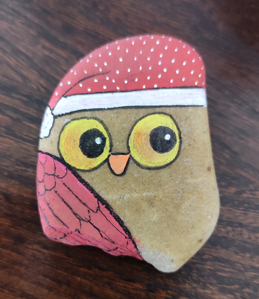 Christmas Painted Rock Christmas owl drawing : 1734298666.img.20241215.223335.jpg