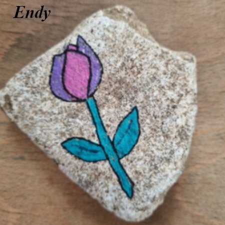 Fleur Endy Dessin de Tulipe : 1738719321.endy.tulipe.jpg