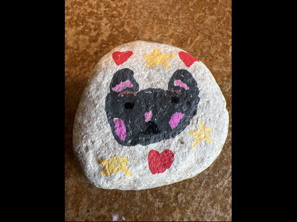 ACCUEIL : Slection du mois RMJL84 petit chat : 1746972401.rmjl84.petit.chat.jpg